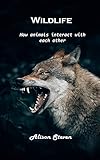 Wildlife: How animals interact with each other