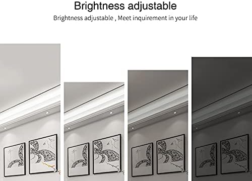 LIGHTEU® - Image 5