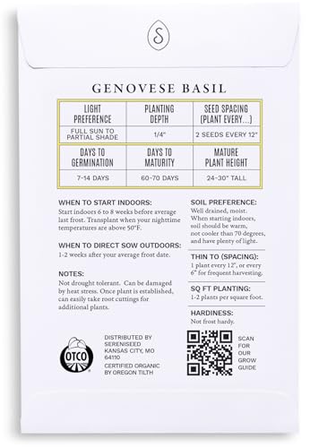Sereniseed Certified Organic Genovese Basil Seeds – Non GMO, Heirloom – Seed Starting Video – Seeds for Indoor and Outdoor Planting (Ocimum basilicum) - Image 2