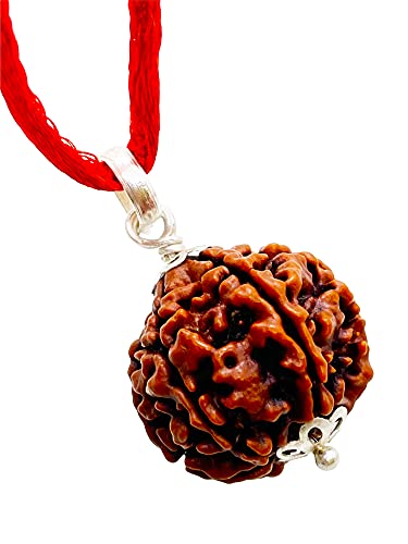 Image of Siddha 6 / Mukhi Pure Rudraksha, Laboratory Certified, Carefully Capped with Silver Between Nepalese Beads with Handmade Tassel, Size 16mm-22mm, Color-Brown (6 Mukhi Silver Rudraksha)