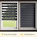 Zebra Blinds for Windows with Aluminium Valance, 58