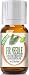 Fir Needle Essential Oil - 100% Pure Therapeutic Grade Fir Needle Oil - 10ml