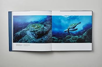 Hardcover Amazônia azul / Blue Amazonia [Portuguese] Book