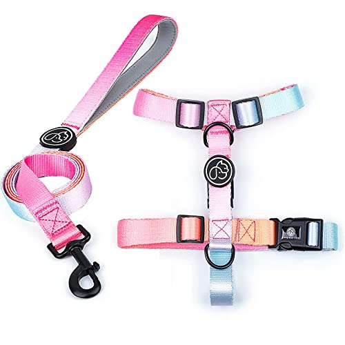 Pink Dog Harness and Leash Set, Adjustable Lightweight Pet Harness & Leash, Fashionable Comfortable no Pull Rope Set for Small & Medium Dog by LFCXHTY (Summer Neon, Medium)