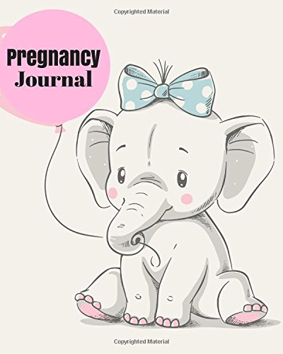 Pregnancy Journal: Baby Conception To Birth Log, Essential Organizer Week by Week Diary Planner Journal Notebook To Monitor & Track Pregnancy ...