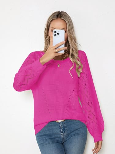 Image of Libsorge Womens Cute Crochet Knit Hollow Out Sweater Fall 2024 Lightweight Ribbed Crewneck Long Sleeve Pullover Top