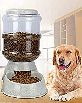 multiple dog feeding station