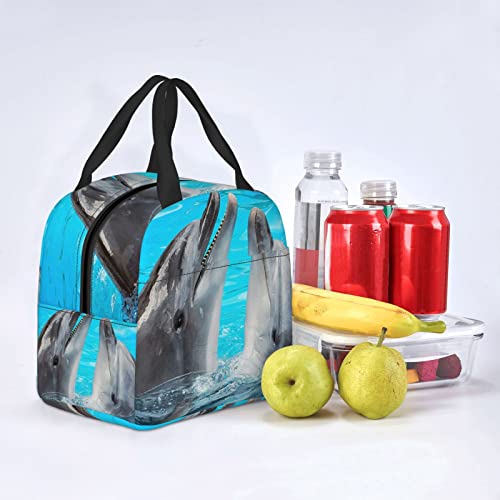 Debou Cool Dolphin Insulated Lunch Bag Cooler Tote Reusable Leakproof Lunch Box Easy Clean For Work Office Picnic Beach Or Travel #TOP6