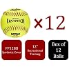 Rawlings | NCAA Recreational Fastpitch Softballs | 11 Options | 6 & 12 Count Options