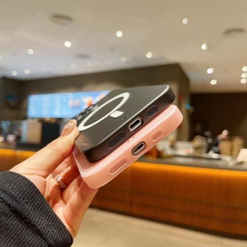 Étui mat de chargement sans fil résistant aux rayures iPhone 13 Pro