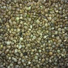 Two Amigos Pet Supplies Hemp Seed 2kg Quality Fishing Bait and Bird Seed