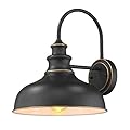 zeyu Farmhouse Gooseneck Barn Light, Wall Sconce Lighting 11 inches, Black Finish, 02A390 ROB
