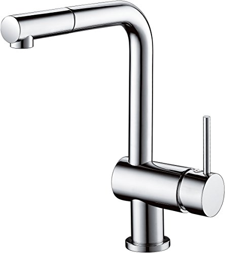 GrünBlatt Küchenarmatur (ausziehbarer Sprühschlauch, Einhebelmischer)