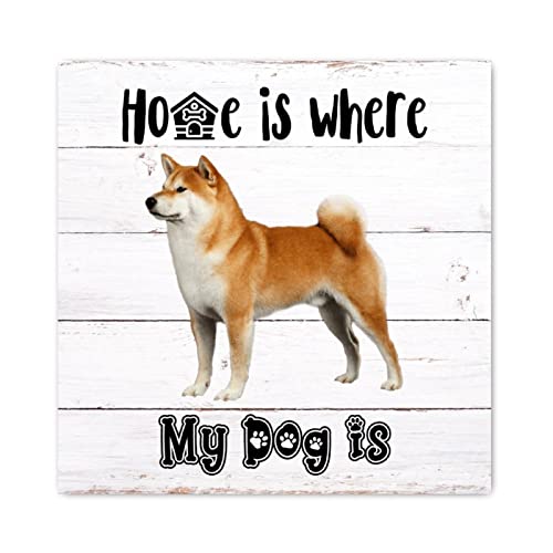 Panneau en bois Home Is Where My Dog Is pour la décoration murale d'une ferme ou d'un salon