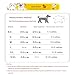 MYLLJBD Hundemantel Bienenkostüm mit Kapuzenpullover für Haustiere, Halloween-Kostüm und Kleidung für Katzen-Bienentransformation-S