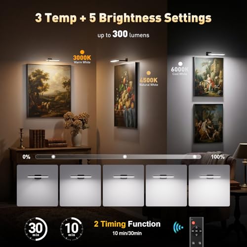 NARUNDREN 2 Pack Picture Lights for Wall, Rechargeable LED Picture Light Battery Operated with Remote, Dimmable Poster Light for Paintings, Portraits, Art Frames, Display Lighting for Wall Decor,Black