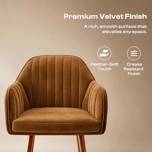 Image of Vergo Plush Velvet Dining Chair, Cushion Seat, Wooden Frame, Metal Legs, Premium Accent Chair for Living Room, Bedroom, Dining Room, Cafe & Restaurant (Set of 4, Light Brown)