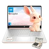 HP 14' Thin&Light Laptop...