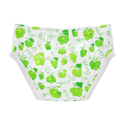 Fruit Grape Toddler Boy's Underwear 2T 23022082