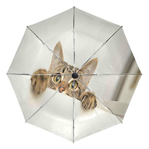 Preisvergleich Produktbild Wamika Regenschirm mit niedlichem Katzen-Motiv, winddicht, wasserfest, UV-Schutz, Reise-Regenschirm, 3 Falten, automatisches Öffnen / Schließen, für Sonne und Regen