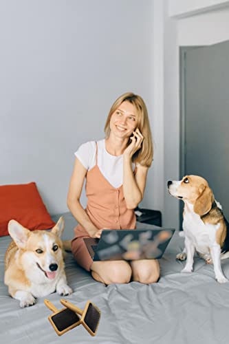 Woolbuddy Wool Carders Large, Hand Carders For Wool, 2 Pcs Needle Felting Tools, Slicker Brush For Dogs, Spinning And Weaving, Carding Brushes For Needle Felting Wool #TOP6