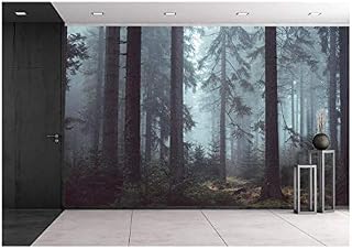 wall26 Foggy Pin Forest - Removable Wall Mural | Self-Adhesive Large Wallpaper