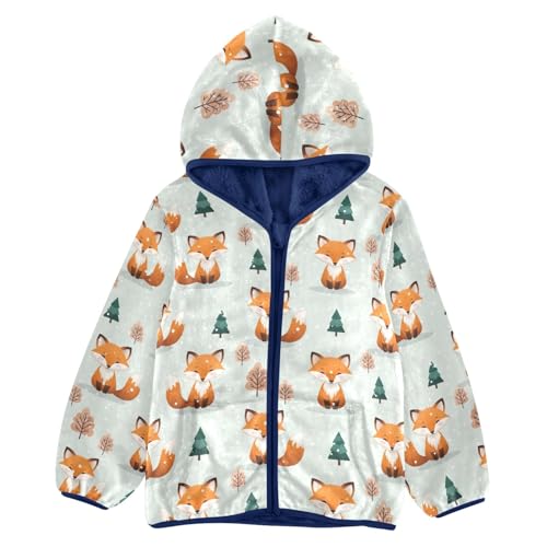 CHIFIGNO Cute Cartoon Fox Toddler Zip up Hoodie Boy Sweatshirt Jacket for Fall Winter Fleece Zip up Jacket 3T