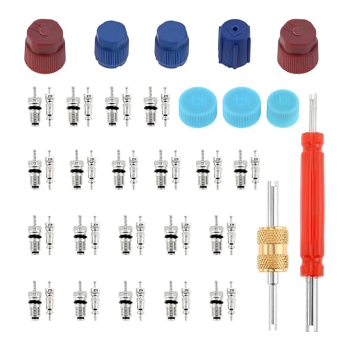 Kit 50 piezas núcleo válvula aire acondicionado