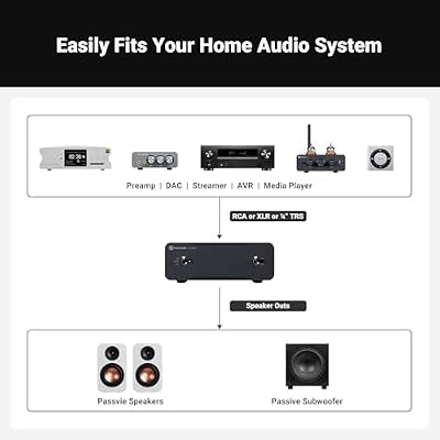 Fosi Audio 48V 10A Power Supply and V3 Mono Power Amplifier for Home Audio Speakers with 48V 5A Power Supply