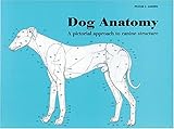 Dog Anatomy