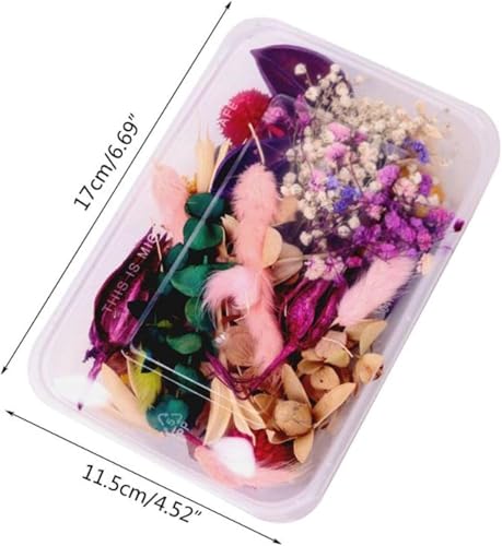 1 caja de flores secas para decoración y manualidades miniatura 2