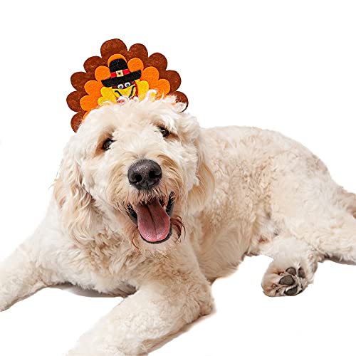 Midlee Turkey Dog Headband Costume- Thanksgiving Pet Outfit