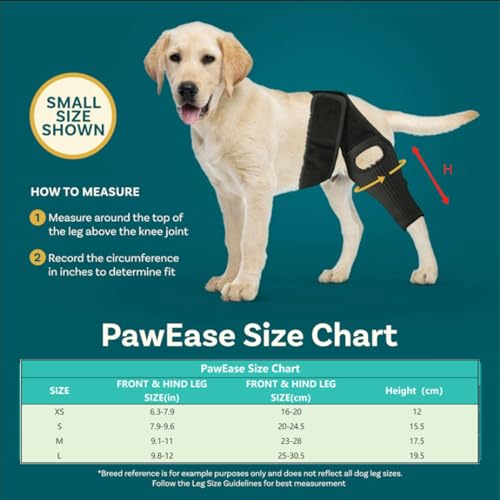 ASIAD Beinschiene für Hunde, Knieschiene für Hunde Bei Kreuzbandriss, Hüftdysplasie, Arthritis, Patellaluxation, Unterstützung Der Vorder- Und Hinterbeine, Bequem Und Verstellbar,Schwarz,L