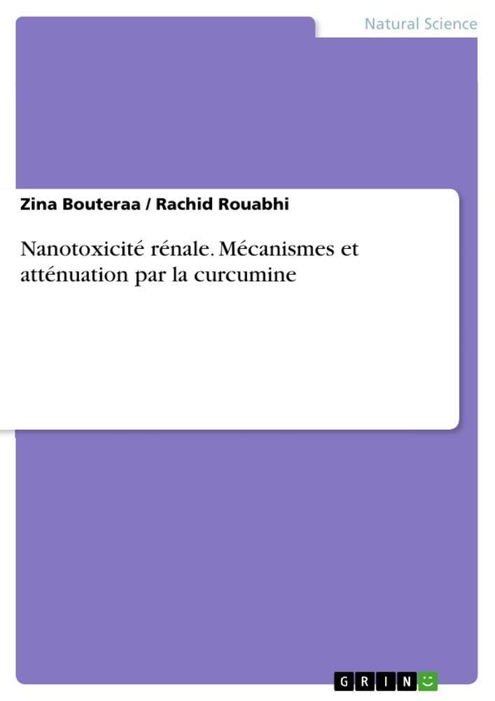 Nanotoxicité rénale. Mécanismes et atténuation par la curcumine