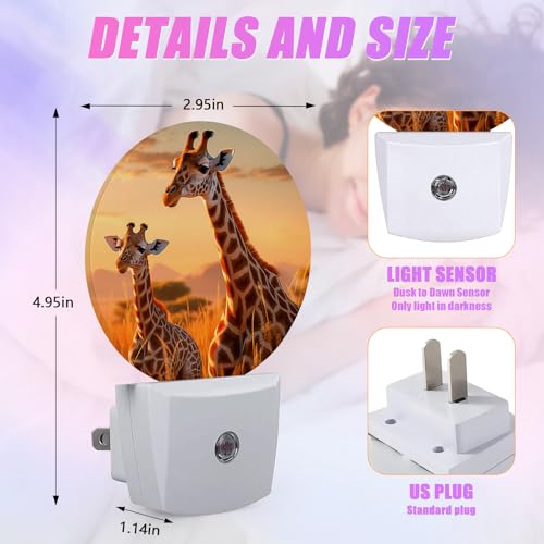 Image of Funny Giraffe Night Light African Animal Night Lights LED Lamp Round Plug into Wall Nightlight with Dusk to Dawn Sensor Home Hallway Stairway Kitchen Decor