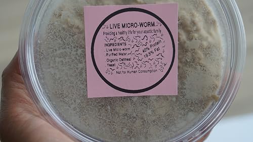 Microworm Starter Culture for Betta and Guppy Fry &ndash; Live Freshwater Feed for Baby Aquarium Fish...