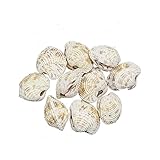 Wenn Sie das Produkt nicht innerhalb der voraussichtlichen Lieferzeit nach dem Kauf des Produkts erhalten, kontaktieren Sie uns bitte. Wir werden das Produkt nach Überprüfung erneut an dieselbe Adresse senden.