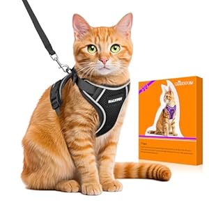 Halypet Cat Harness and Leash Set [H600 Pro] Escape Proof, Adjustable, Breathable, Reflective Black S
