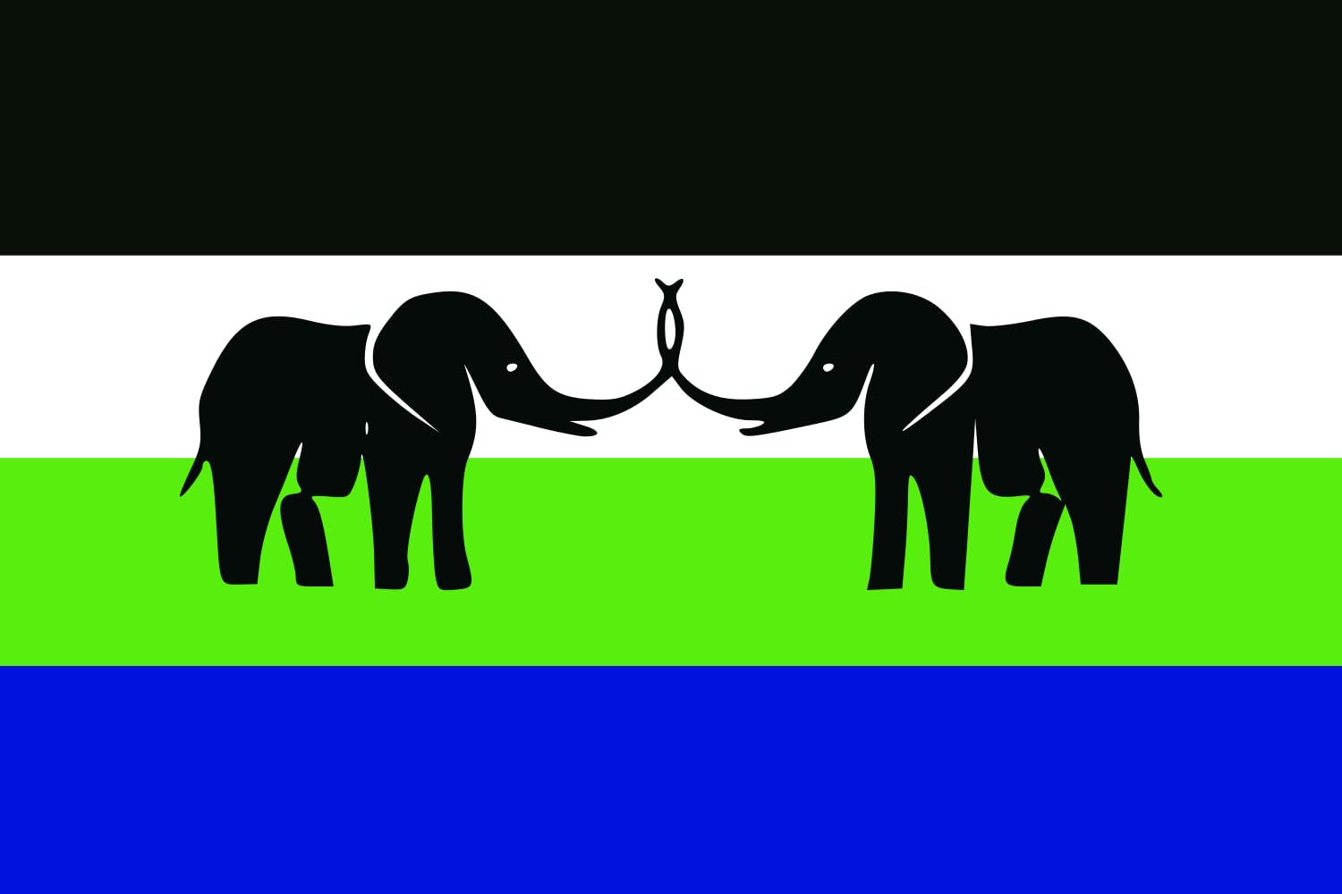 Drapeau Caprivi Strip grand format paysage pour décoration murale