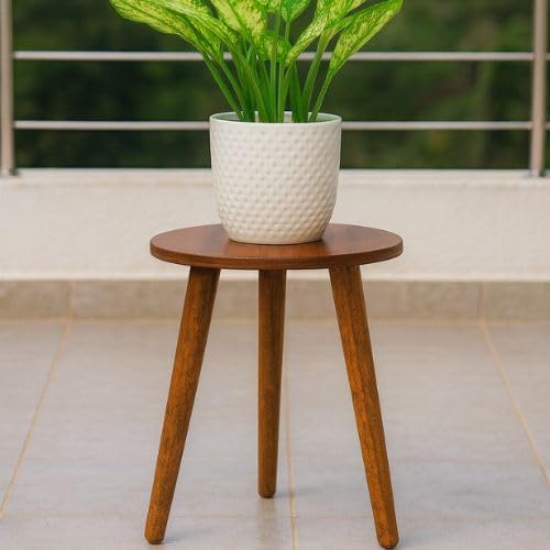 WOOYNEX WOODEN Multifunctional Plant Stand - Modern Home Decor, Wood Planter Holder for Flower Pots, For Living Room Bedroom Balcony Indoor and Outdoor - Kids Stool-(Natural)