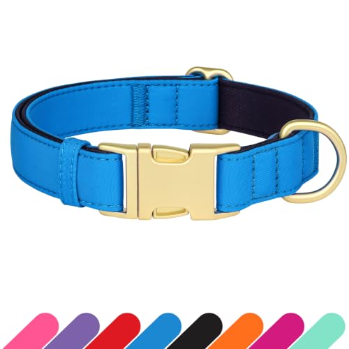 Didog Soft Padded Dog Collar for Small Dogs, Blue, S Neck 10-15"