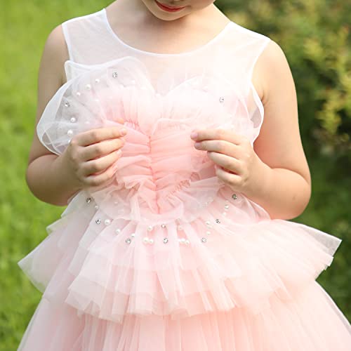 Sunny Fashion Flower Girls Dress Pink Cake Skirt Pearl Diamond Heart Bodice Backless4