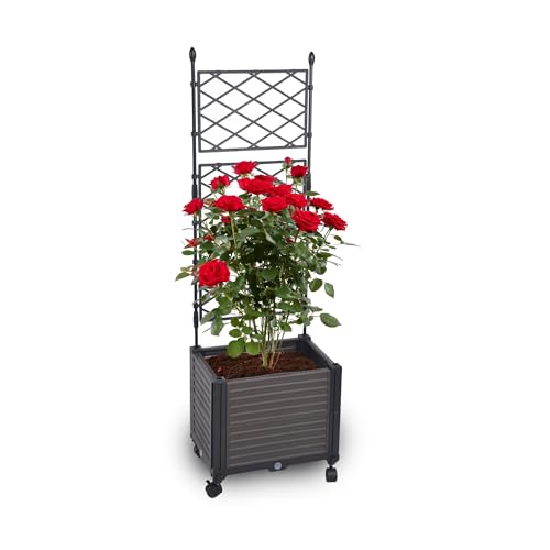 Gartenwelt Riegelsberger Pflanzkasten mit Spalier auf Rädern Größe 41x30xH125 cm Rankgitter für Kletterpflanzen innen und außen