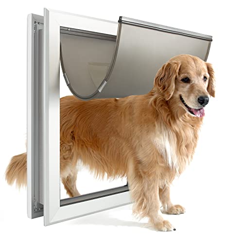 Top 10 Best Doggy Doors [Experts 2023 Reviews]