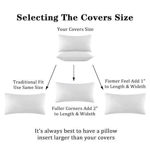 Throw-Pillow-Inserts-16-x-26-Pack-of-2-White-Down-Feather-Pillow-Stuffer-Premium-Decorative-Pillows-for-Sofa-Couch-Bed Throw Pillow Inserts 16 x 26 Pack of 2 White Down Feather Pillow Stuffer Premium Decorative Pillows for Sofa Couch Bed