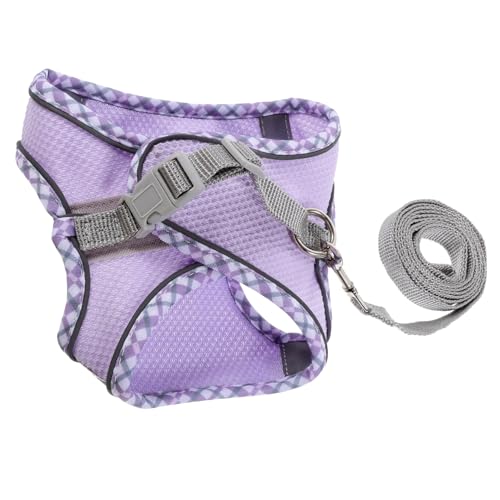 CHICAMPERA p\tgn[lXƃ[h ^p߉\ w?? yʒʋC h~fUC ybgUp F