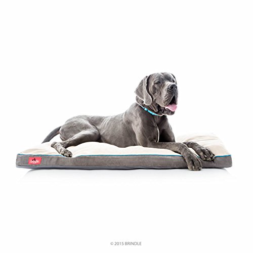 Brindle Soft Shredded Memory Foam Dog Bed with Removable Washable Cover, 52" x