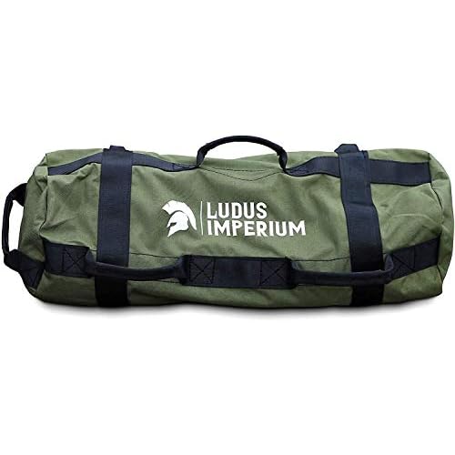 Workout Sandbags for Fitness 30 kg (66lb) and 50 kg (110lb), Heavy Duty Adjustable Weighted Sandbags for Training, Cross-Training & Exercise, Sandbag Weights with Handles