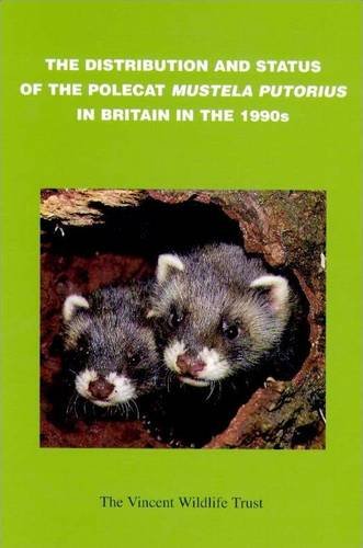 Distribution and Status of the Polecat (Mustela putorius) in Britain in the 1990s