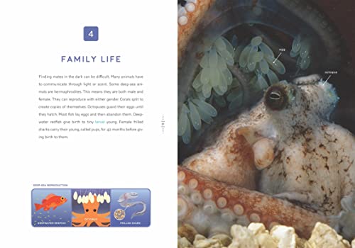 Deep-Sea Mysteries 1608189961 Book Cover